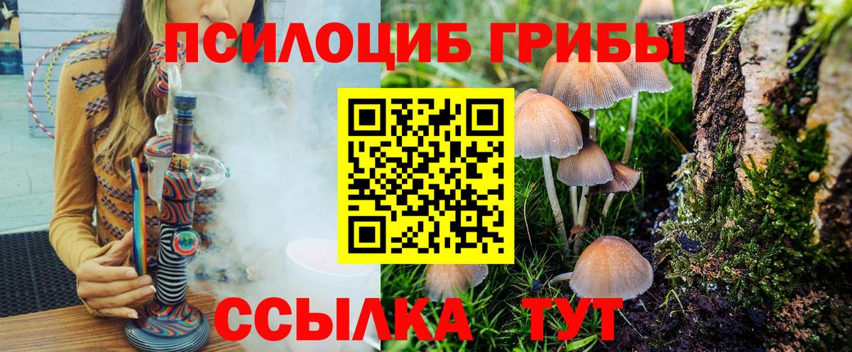 Псилоцибиновые грибы мухоморы  Вход с VPN  Кудрово  Галлюциногенные грибы прущие грибы 